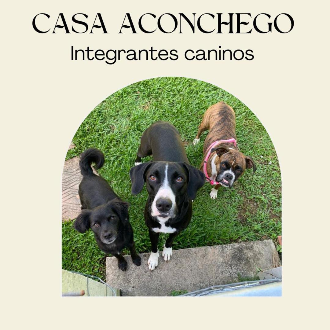 Casa Aconchego 345 Ao Lado Alles Park بوميرودي المظهر الخارجي الصورة